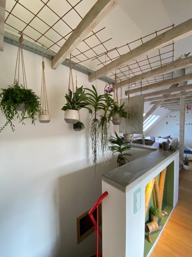 Private Wellness Mit Whirlpool Apartment
